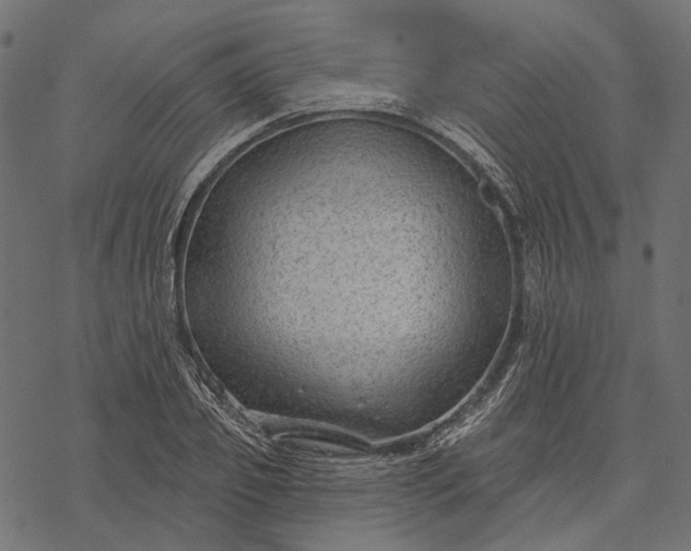 X0000077320933200611031702