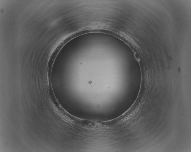 X0000077320934200611031702