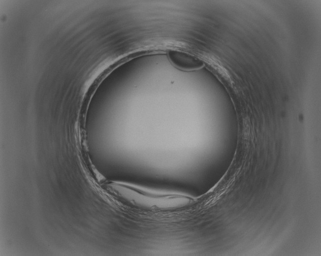 X0000077320936200611031702