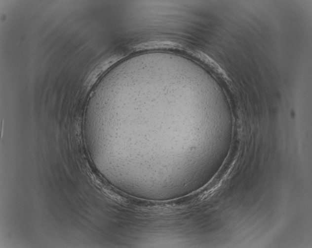 X0000077320937200611031702