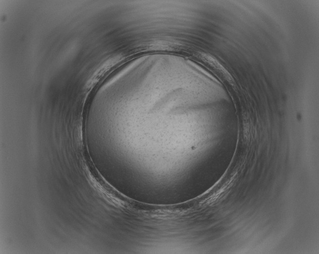 X0000077320938200611031702