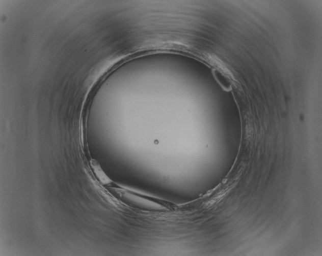 X0000077320940200611031702