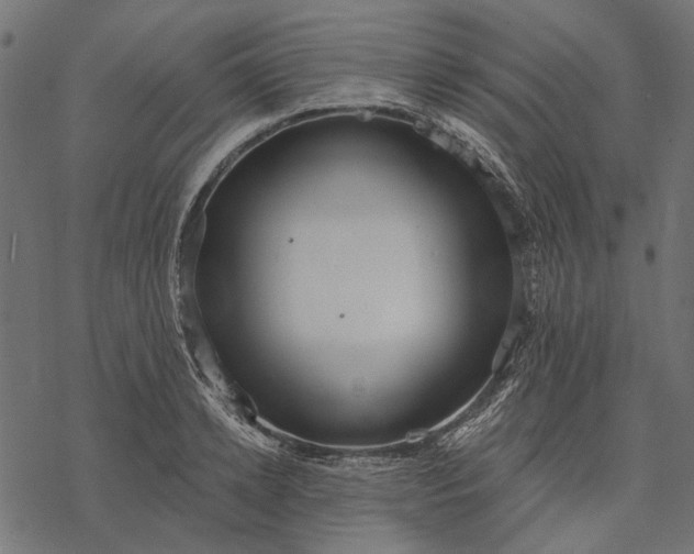 X0000077320942200611031702