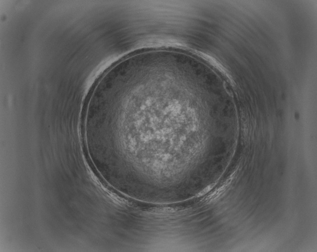 X0000077320943200611031702