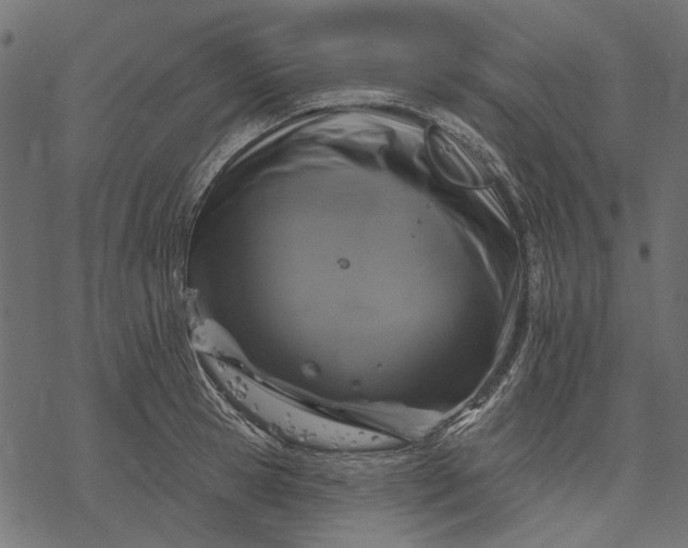 X0000077320945200611031702