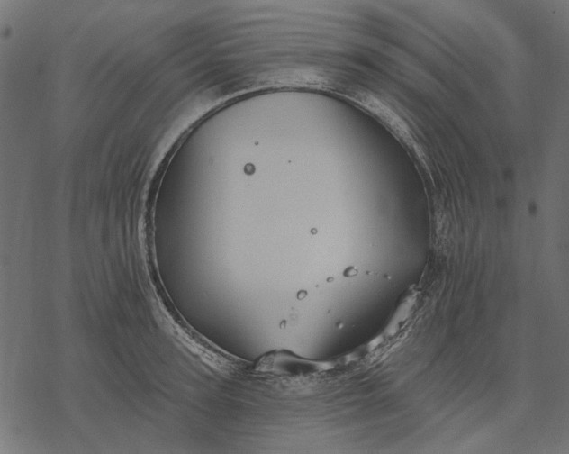 X0000077320947200611031702