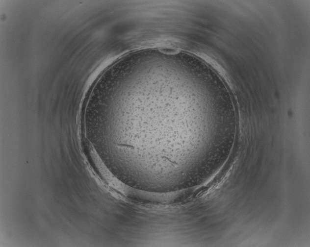 X0000077320949200611031702