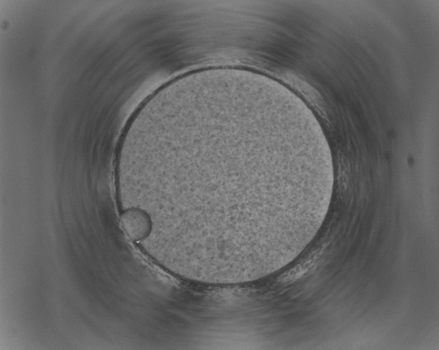 X0000077320950200611031702