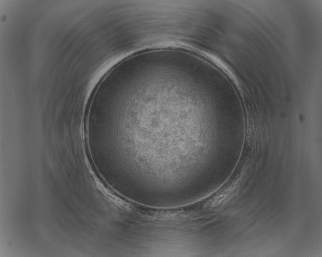 X0000077320951200611031702