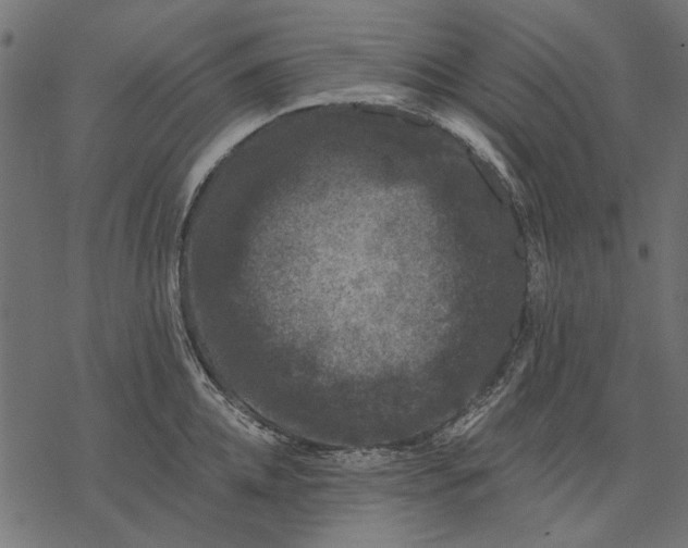 X0000077320952200611031702