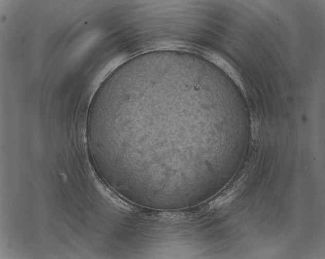 X0000077320954200611031702