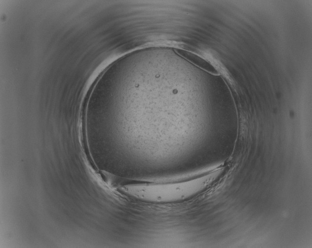 X0000077320955200611031702