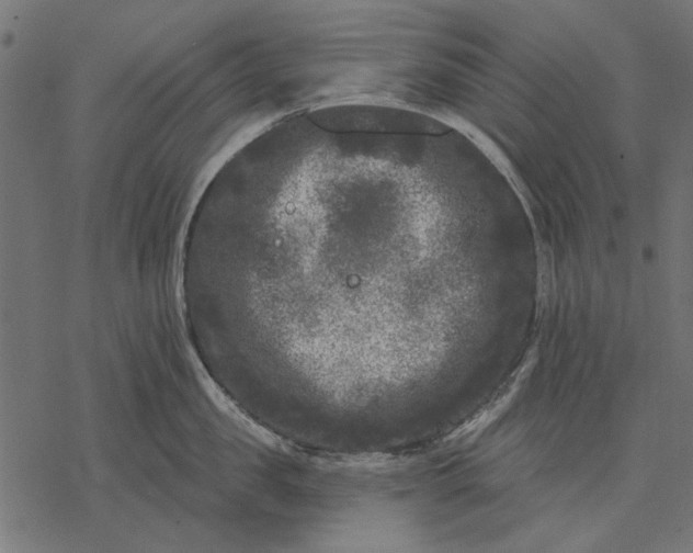 X0000077320957200611031702