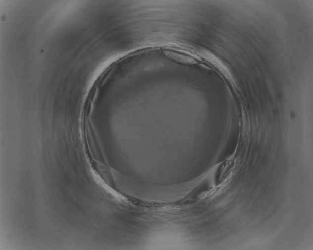 X0000077320958200611031702