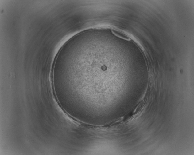 X0000077320959200611031702