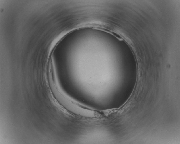 X0000077320960200611031702