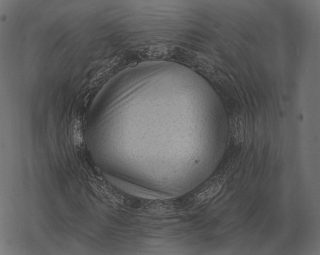 X0000077320962200611031701