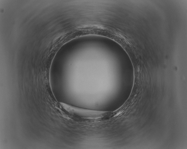 X0000077320965200611031701