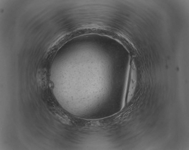 X0000077320968200611031701