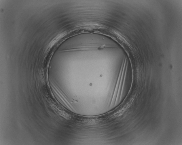 X0000077320970200611031701