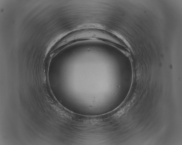 X0000077320973200611031701