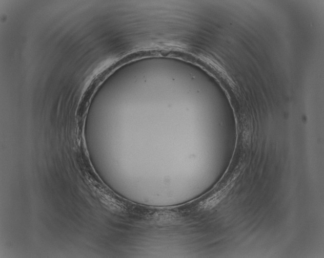 X0000077320974200611031701