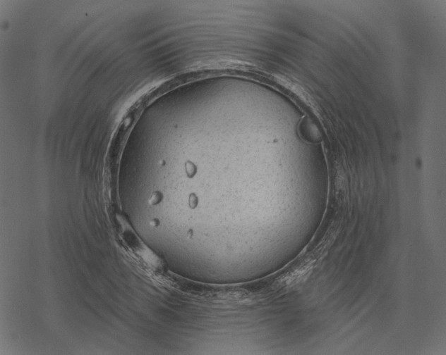 X0000077320979200611031701