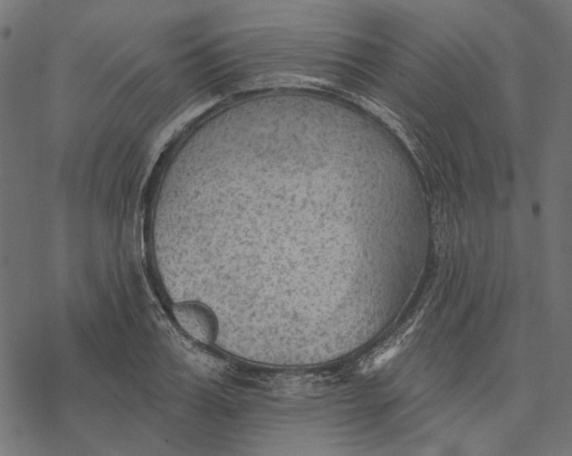 X0000077320987200611031701