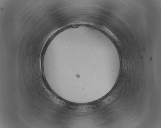 X0000077320988200611031701