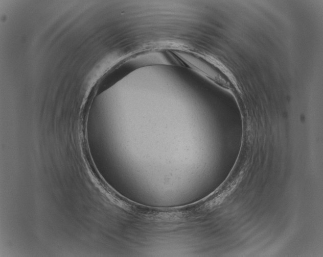 X0000077320989200611031701