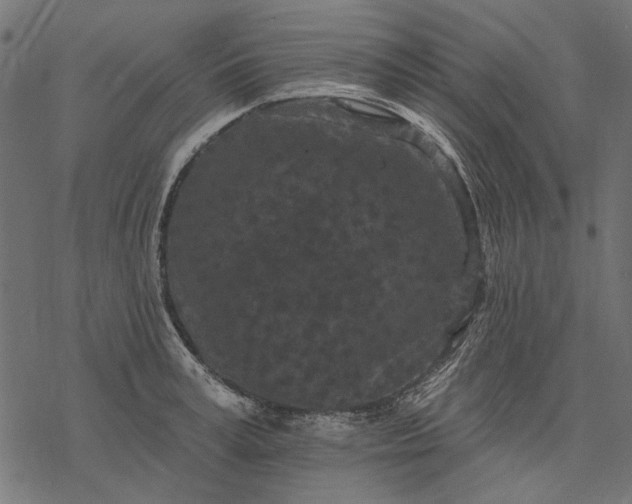 X0000077320995200611031701