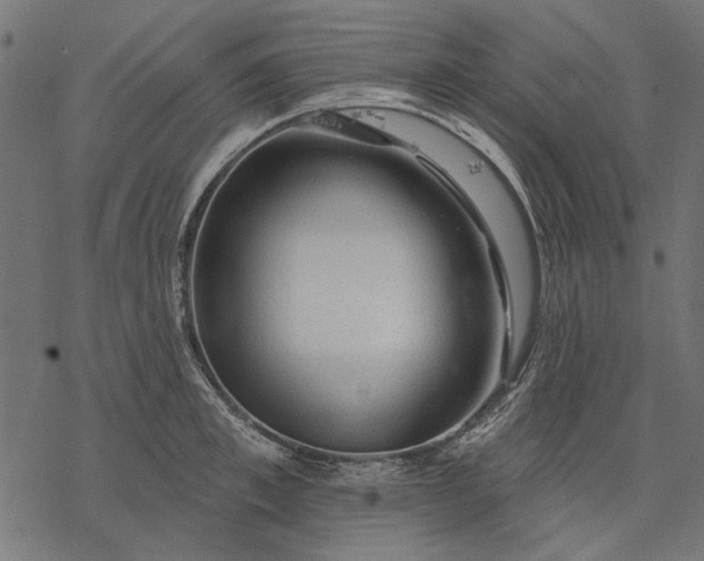 X0000077320997200611031701