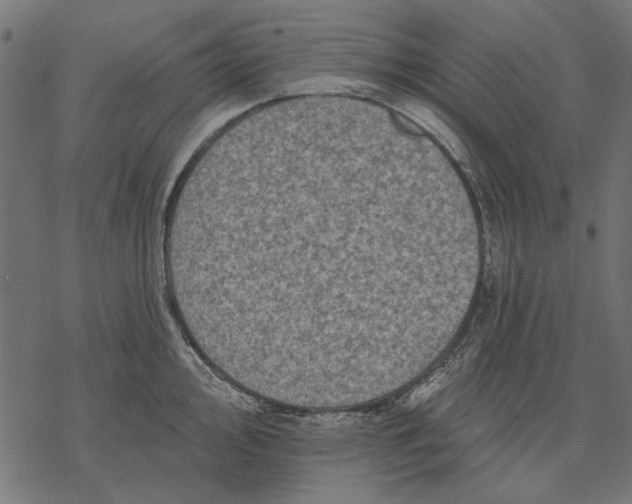 X0000077321000200611031701