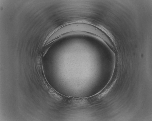 X0000077321001200611031701