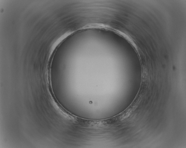 X0000077321003200611031701