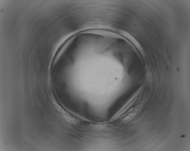 X0000077321004200611031701