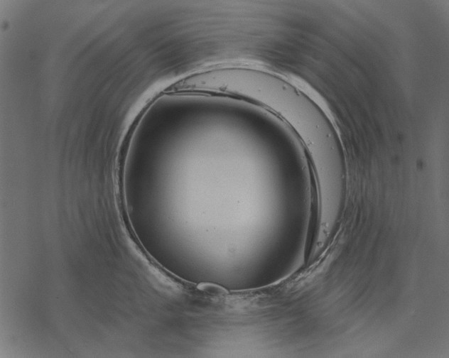 X0000077321005200611031701