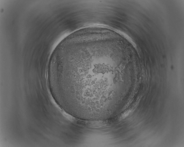 X0000077321007200611031701