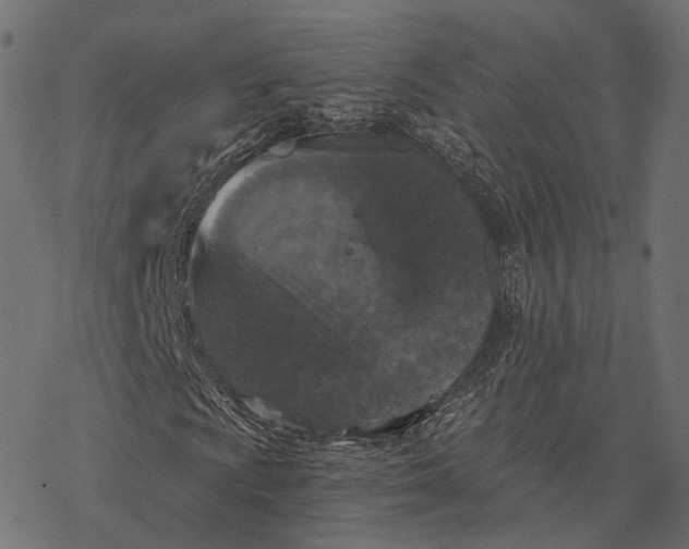 X0000077321009200611031700