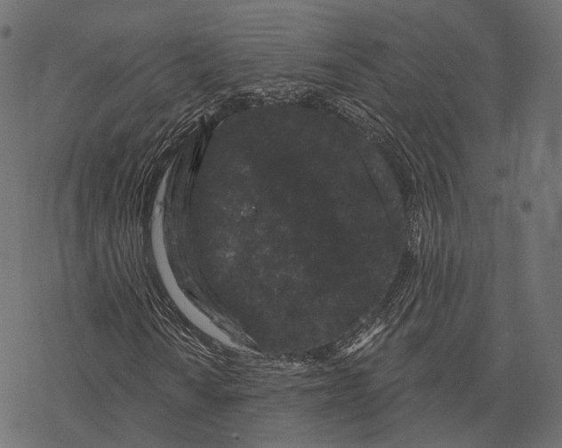 X0000077321010200611031700