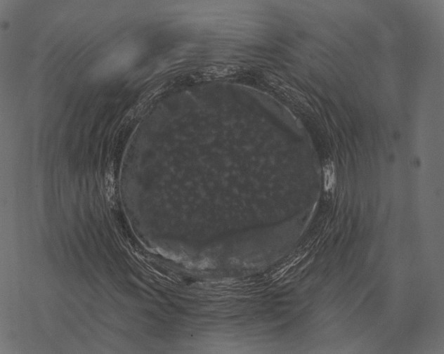 X0000077321011200611031700