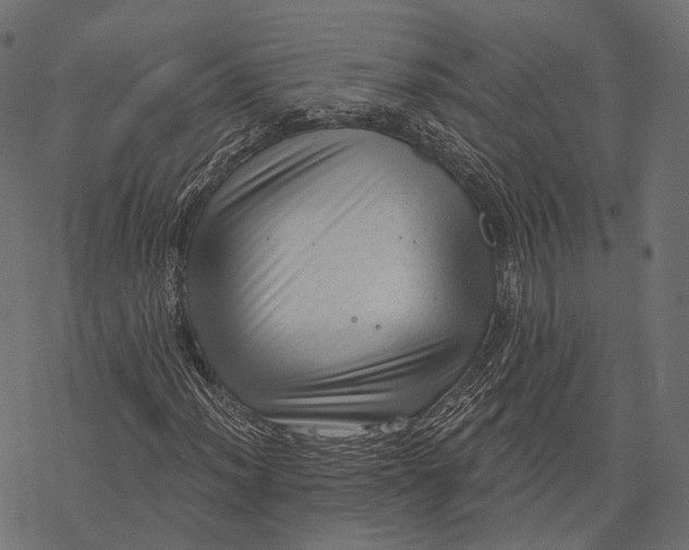 X0000077321012200611031700