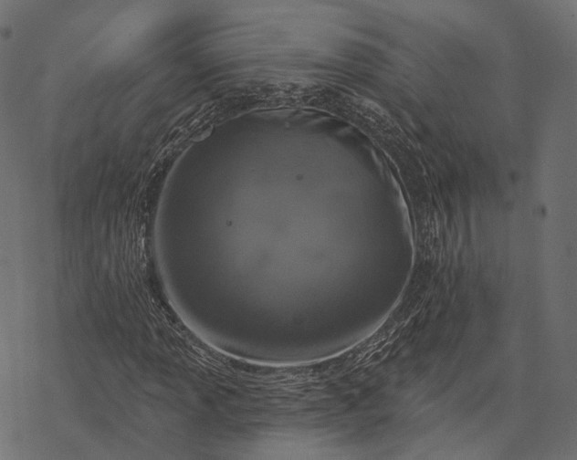 X0000077321013200611031700