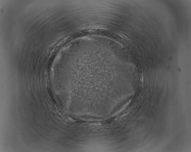 X0000077321014200611031700