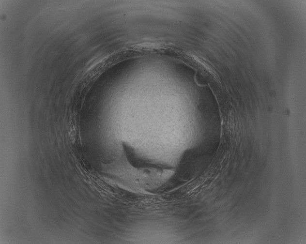 X0000077321015200611031700