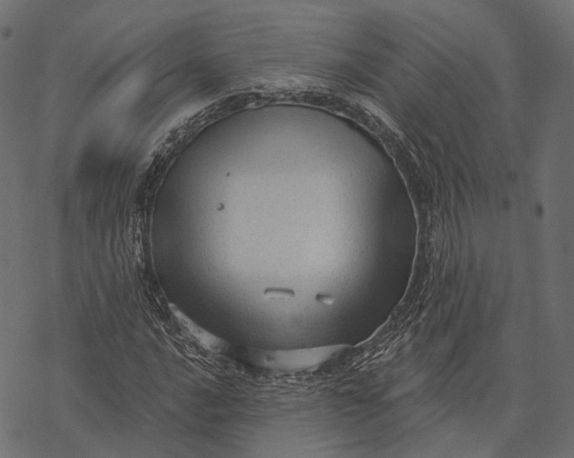 X0000077321016200611031700