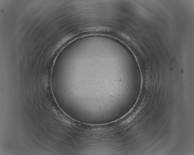 X0000077321017200611031700