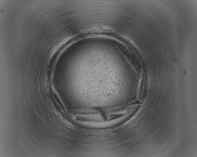 X0000077321018200611031700