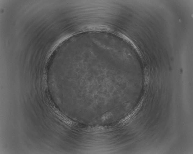 X0000077321019200611031700