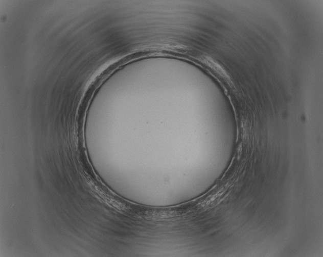 X0000077321020200611031700